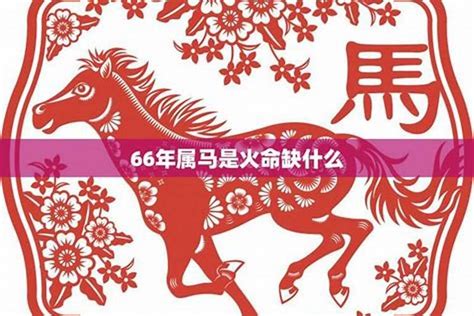 马的五行|生肖属马人五行分析，金马、木马，水马，火马，土马分析